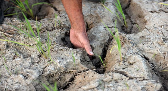 海南旱情持续 农村地区出现临时饮水困难