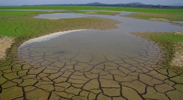 山东日照水库水位告急