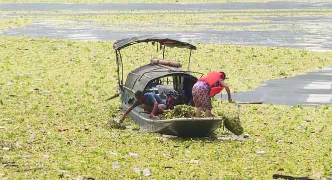 长江重庆段现近万平方米漂浮垃圾带