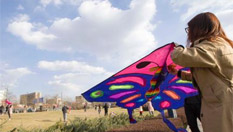 太原春日风筝漫天舞