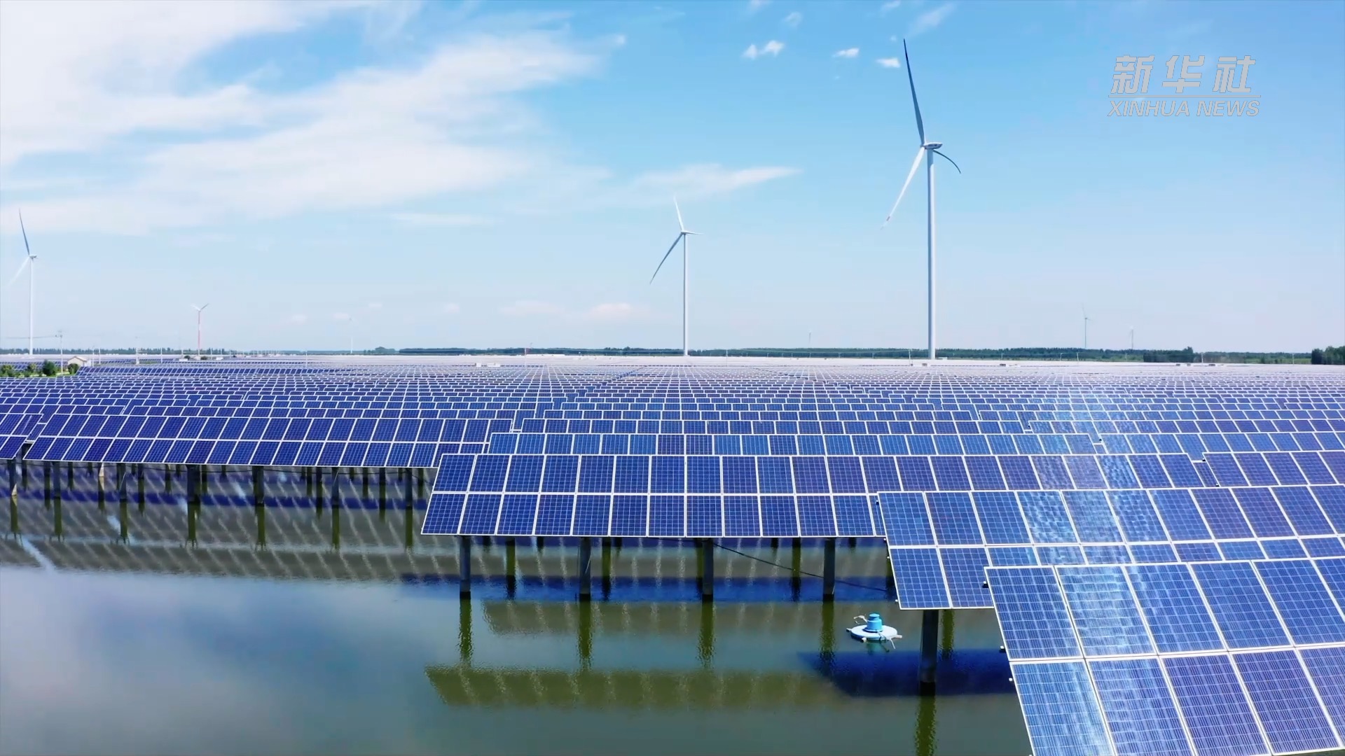 光伏鱼塘上奏响绿电"渔光曲"-新华网