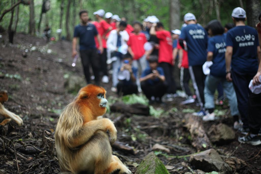 示范性科普研学活动暑期即将开展 现启动报名