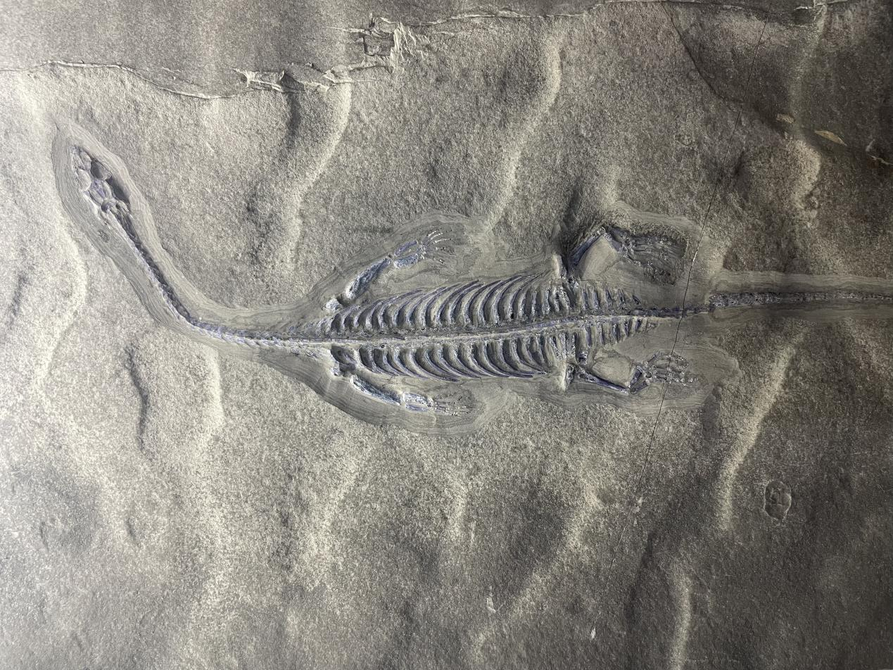 贵州科普研学活动——走进穿越时空的对话