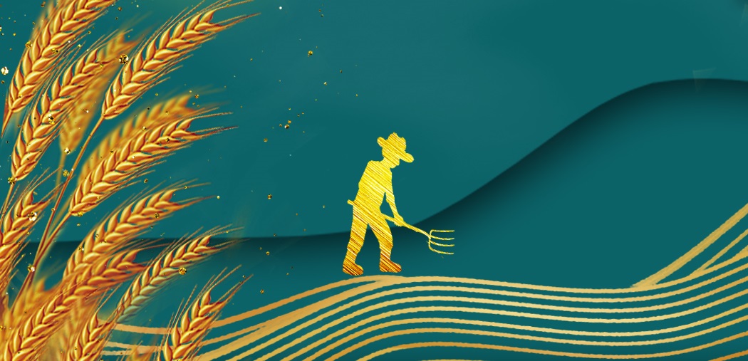 农耕智慧的产物&mdash;&mdash;梯田