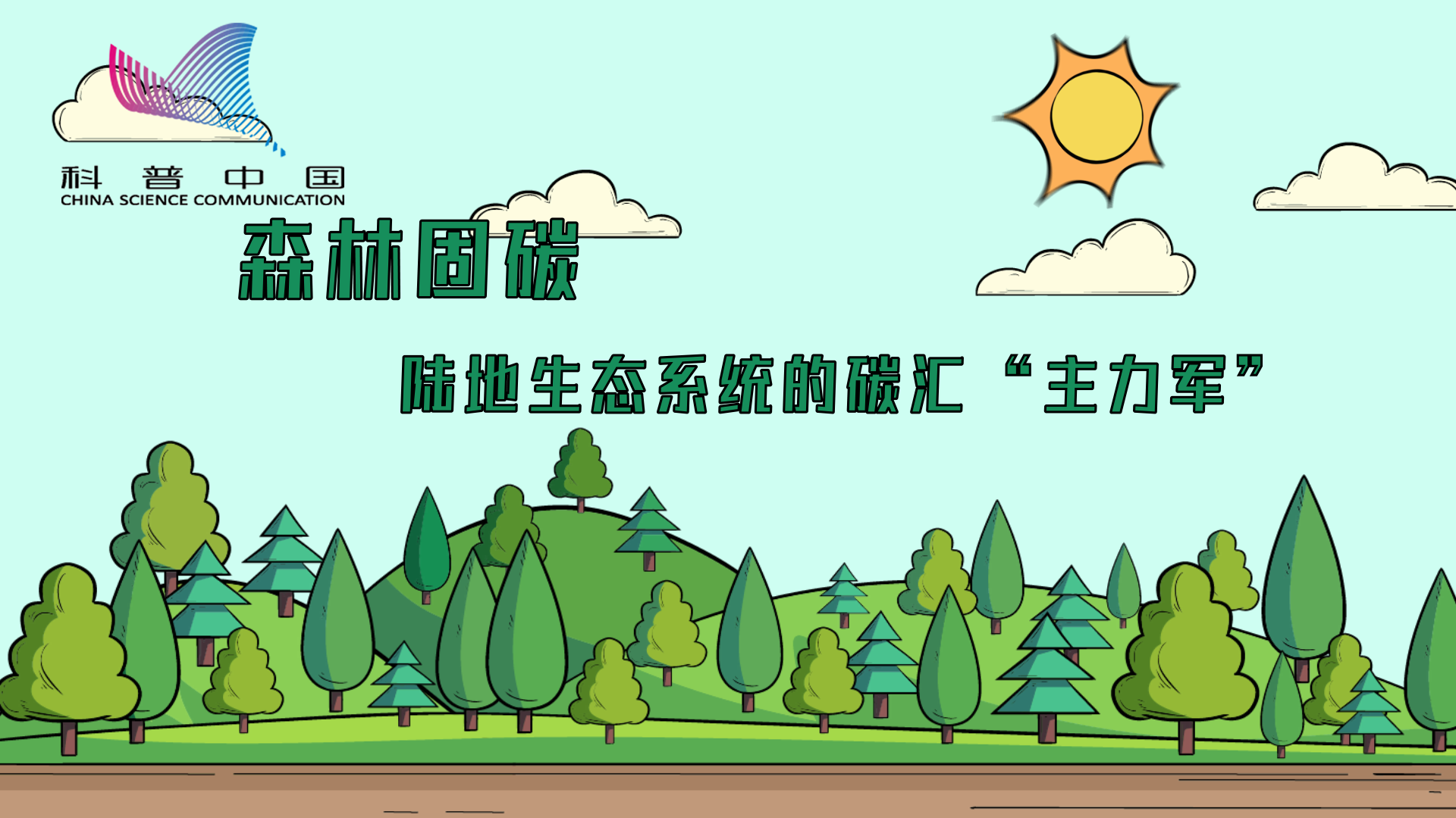 森林固碳——陆地生态系统的碳汇"主力军"