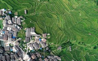 "大写至道—庄毓聪大写意花鸟画全国巡回展"在贵州美术馆开幕