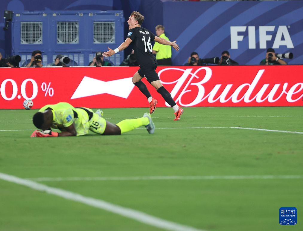 世界杯:挪威vs塞内加尔(图20)