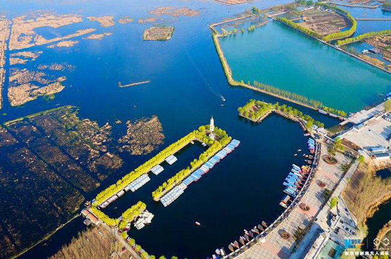 新区启动工作正平稳、扎实、有序进行