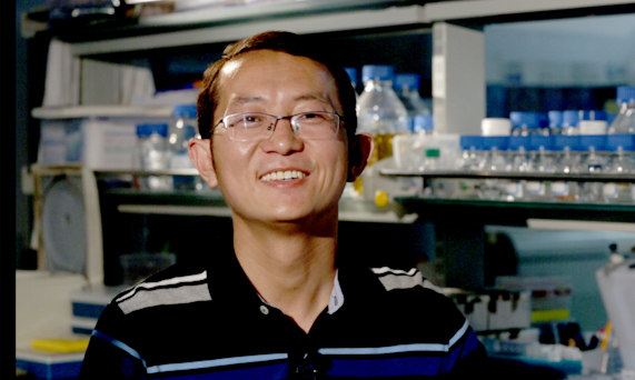 我们在研究中发现有些材料能够抗稻病，目前在研究这些材料能够抗稻病的原因及怎样利用这些材料来帮助育种专家育种。