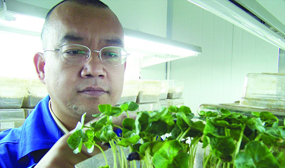 我们一直都跟随市场需求的变化调整育种方向、种植模式和技术应用。