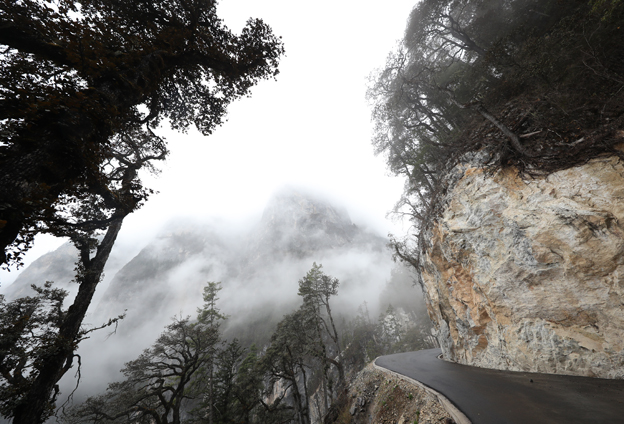 我很荣幸的告诉你，我们脱贫了，我们村是全国文明示范村。