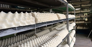 泰东北酝酿特色产品 迎接铁路时代中国商机