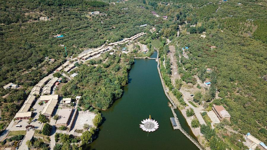 沂蒙蝶变的&ldquo;三新&rdquo;密码