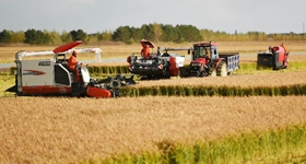 再见，农业税！