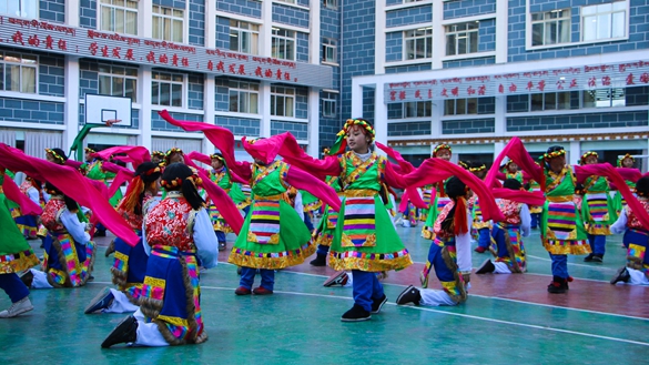 红花向阳，舞动精彩