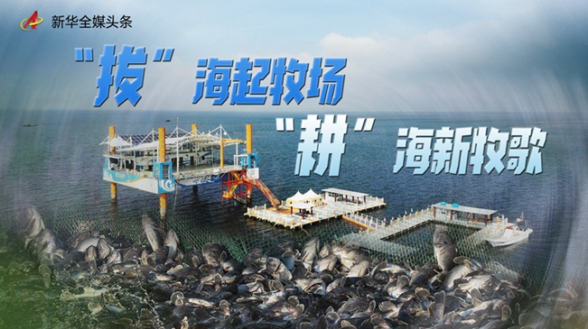 这里有一份&ldquo;海上牧歌行&rdquo;的最全攻略