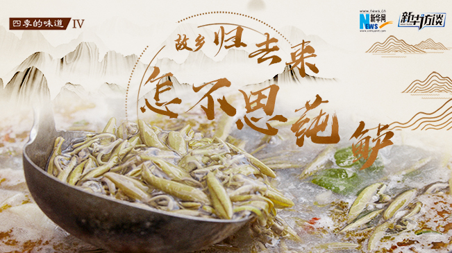 【四季的味道IV】故乡归去来 怎不思莼鲈