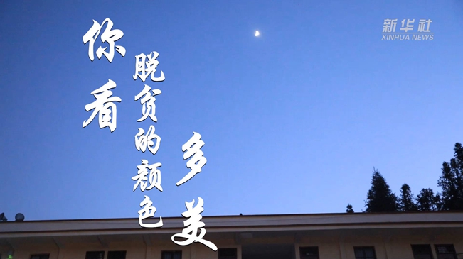 你看 脱贫的颜色多美！