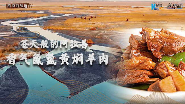 【四季的味道IV】苍天般的阿拉善 香气氤氲黄焖羊肉