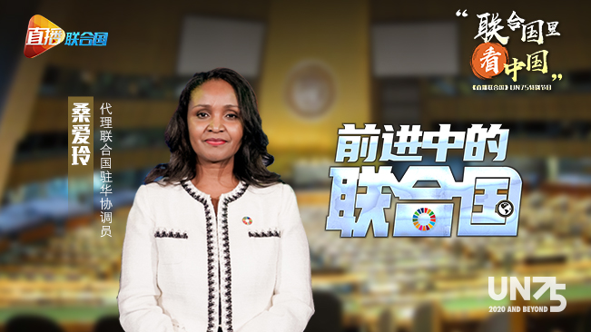 前进中的联合国，从未离开过