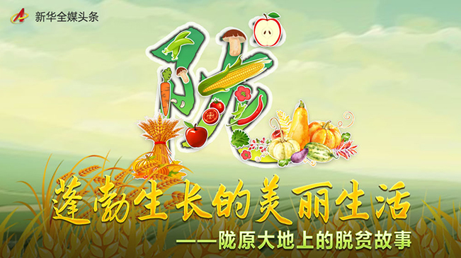 &ldquo;牛羊菜果薯药&rdquo;，陇原脱贫有诀窍