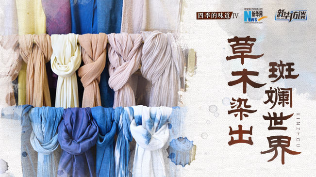 【四季的味道IV】草木染出&ldquo;斑斓世界&rdquo;