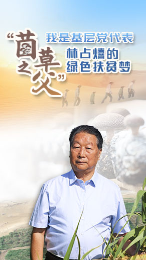 &ldquo;菌草之父&rdquo;林占熺的绿色扶贫梦