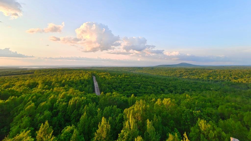 小兴安岭林海撑开&ldquo;致富伞&rdquo;