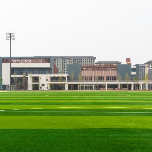 瓣瓣同心向阳开 公共服务携手办&mdash;&mdash;京津支持雄安新区建设观察