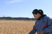 边城珲春的巾帼&ldquo;新农人&rdquo;