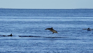 赤道海域：乘船前往南极的&ldquo;必经之海&rdquo;有何特点？