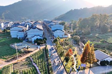 新华全媒+｜&ldquo;中国扶贫第一村&rdquo;赤溪村的美丽嬗变