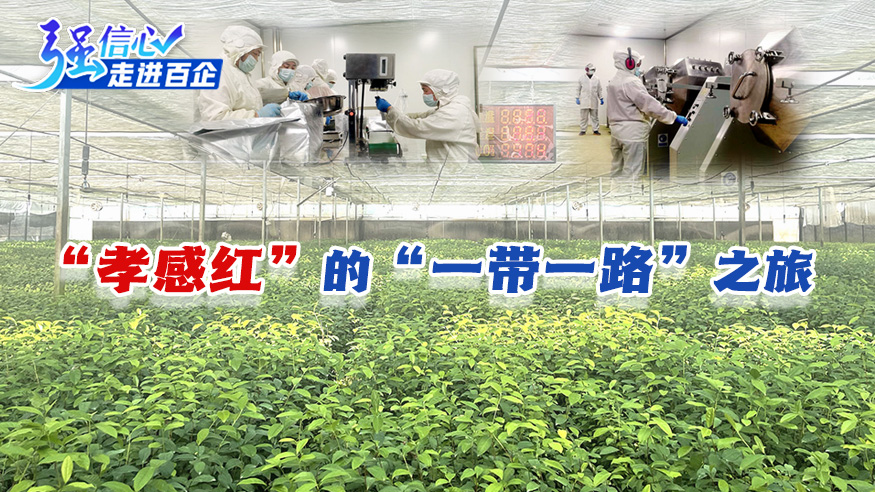 &ldquo;孝感红&rdquo;的&ldquo;一带一路&rdquo;之旅