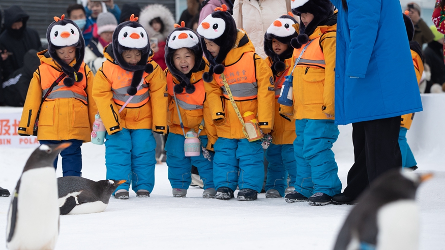 开年旺！这样热气腾腾的生活真带劲