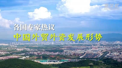 各国专家热议中国外贸外资发展形势