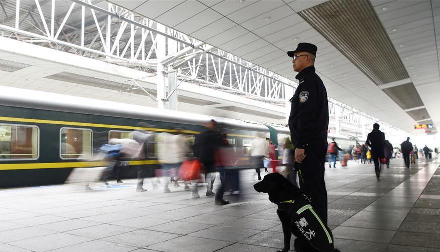 警犬&ldquo;朱蒂&rdquo;的最后一个春运