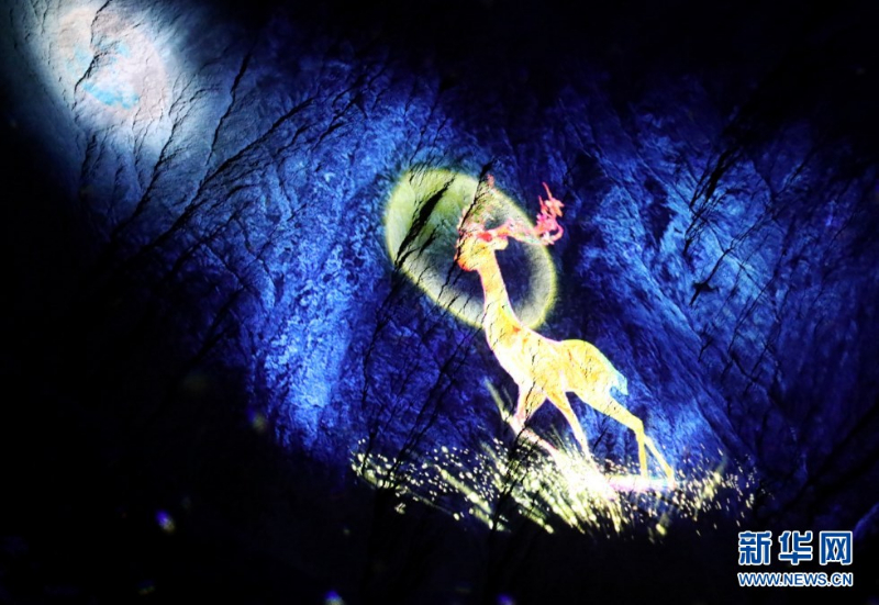 光影投射出的七色鹿形象.新华网发(王生元 摄)