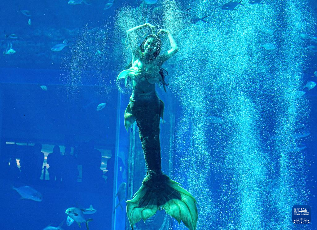 海南三亚首届中国美人鱼表演赛举行决赛