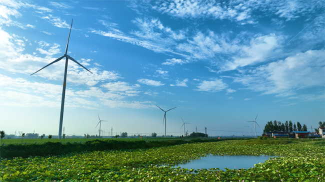 6969河南省安阳市安阳县委书记,城乡一体化示范区党工委书记邢