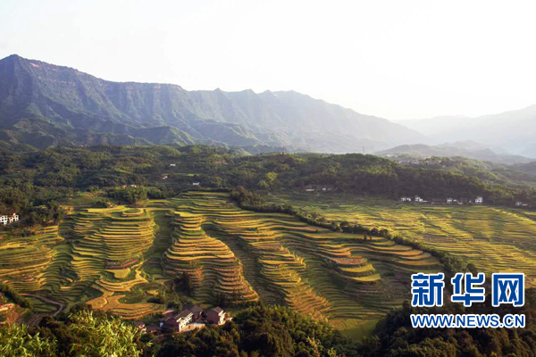 贵州赤水:大力发展“旅游+”扶贫模式 带动百姓脱贫致富