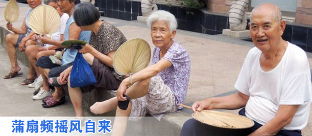 蒲扇频摇风自来