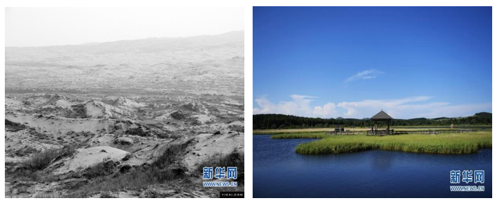 从塞罕坝到碳中和:数看美丽中国的绿色底色