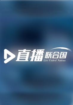 直播联合国
