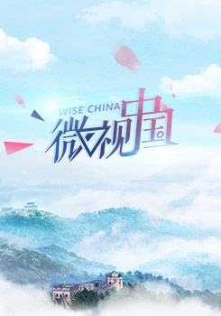 微视中国