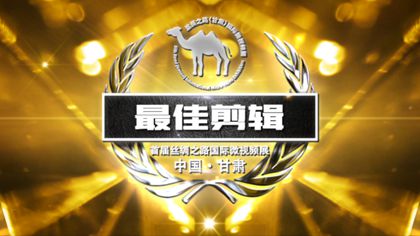 首届丝绸之路国际微视频展最佳剪辑微电影