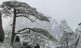 微视频：银装素裹！雪后黄山宛如童话世界