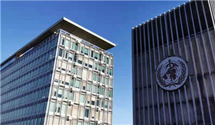 新华社记者带你探访日内瓦的联合国机构