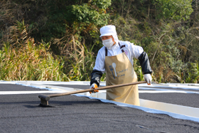 微视频：产业促扶贫 黄精成&ldquo;黄金&rdquo;