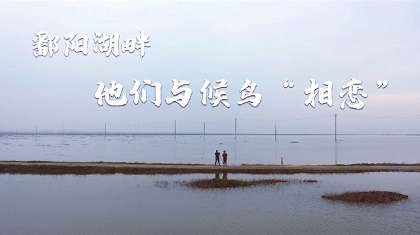 鄱阳湖畔，他们与候鸟&ldquo;相恋&rdquo;