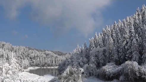 四川古蔺：雪后红龙湖森林公园宛如水墨画